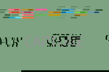 SDG Capture Tool 1 (1)