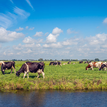Istock 1260169339