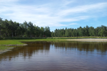 box image
