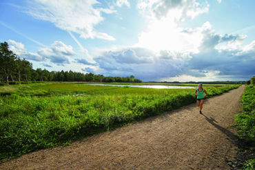 Karlstrup Mose Road Runner