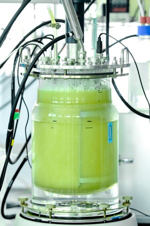 Bioreaktor i et af Electrochaeas laboratorier. Foto: ©Electrochaea GmbH.
