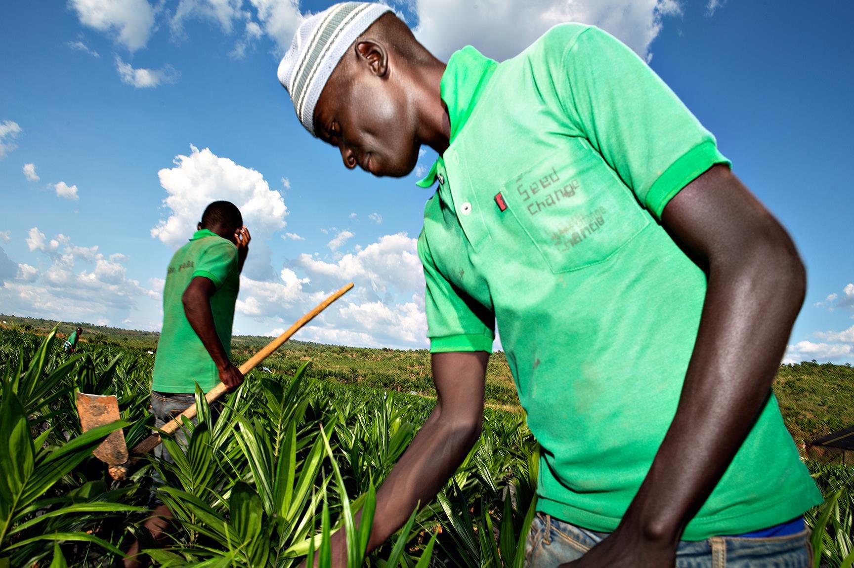 Agriculture
