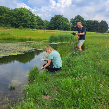Biologer fra Furesø Kommune og NIRAS undersøger et regnvandsbassin i Sydlejren på Flyvestation Værløse.