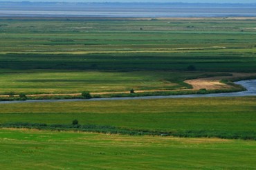Grass Field With Small Lake
