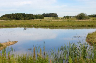 Regnvandsbassin NIRAS