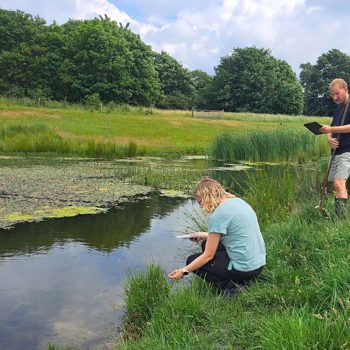 Rådgivning i biodiversitet