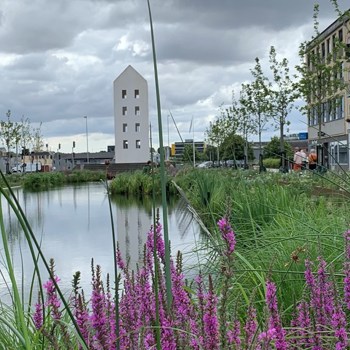 Ostervold Indvielse 1